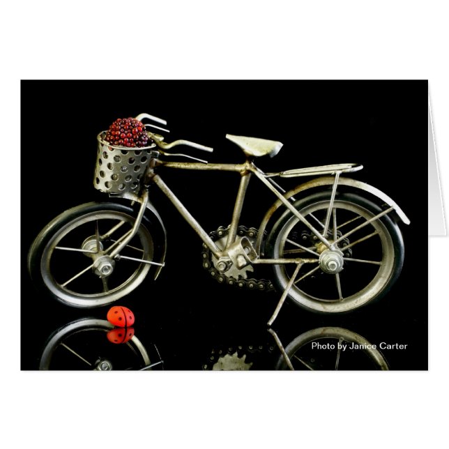 Sommerzeit! (Vorderseite (Horizontal))