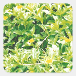 Sommerzeit-Blume und Pflanze Quadratischer Aufkleber