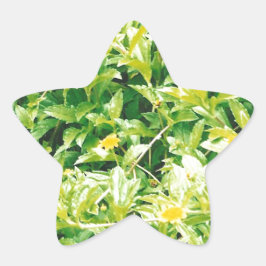 Sommerzeit-Blume und Pflanze Stern-Aufkleber