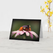 "Sommerzeit in Texas! " Karte (Gelbe Blume)