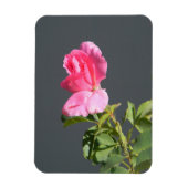 Sommerzeit Liebe... Magnet (Vertikal)