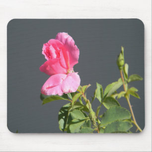 Sommerzeit Liebe... Mousepad