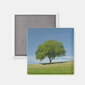 Sommerzeit Magnet (Vorderseite/Rückseite)