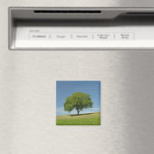 Sommerzeit Magnet (In Situ (Geschirrspüler))