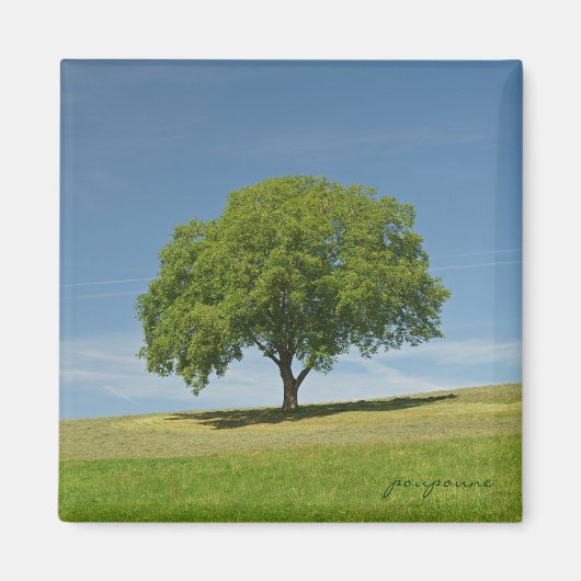 Sommerzeit Magnet (Vorne)