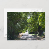 Sommerzeit Postkarte (Vorne/Hinten)