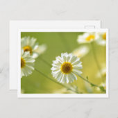 Sommerzeit Postkarte (Vorne/Hinten)