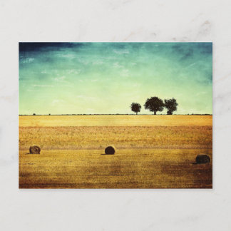 Sommerzeit Postkarte