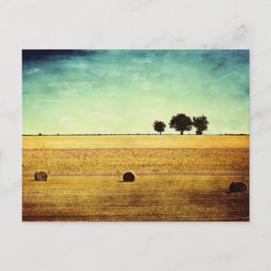 Sommerzeit Postkarte (Vorderseite)