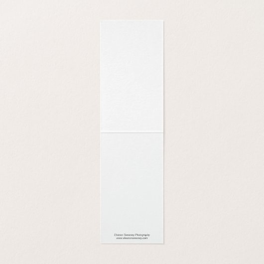 "Sommerzeit" Stillleben mit Flasche und Zitrus (Innenseite Aufgefaltet)