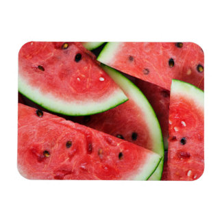Sommerzeit Wassermelone Magnet