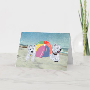 Sommerzeit Westies Blaues Wasser Karte