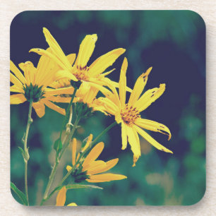 Sommerzeit-Wildblumen Getränkeuntersetzer