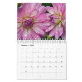 Sommerzeitkalender Dahlias Kalender (Feb 2027)