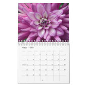 Sommerzeitkalender Dahlias Kalender (Mär 2027)