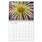 Sommerzeitkalender Dahlias Kalender (Jan 2026)