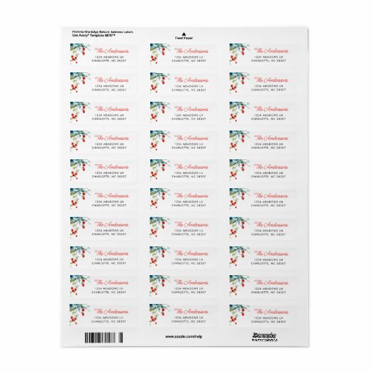 Sommerzweige Moderner Name der Skriptfamilie (Vorne)