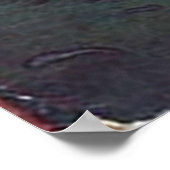 Somnium Books — Dan Crow the Moon Fairy Poster (Ecke)