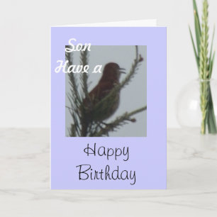 Son haben einen guten Geburtstag Karte