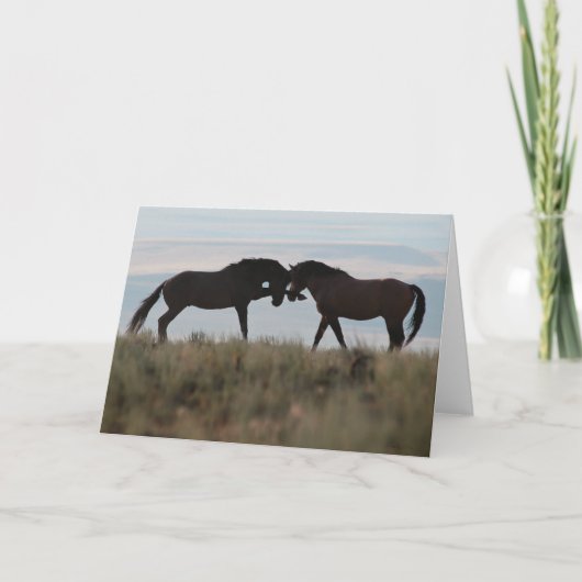 "Son & Sire" Mustang Wildcard Karte (Vorderseite)