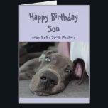 Son Social Distancing Birthday Great Dane Dog<br><div class="desc">Funny Social Distancing Birthday Card for your Son with a cute resting,  laying around,  doing nothing Great Dane Dog.  Inside verse:  Make sure you don't overdo the partying this year.    Great card for that special person with a sense of humor or one who likes Great Danes,  dogs and humor</div>