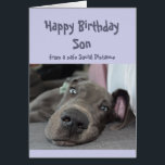 Son Social Distancing Birthday Great Dane Dog<br><div class="desc">Funny Social Distancing Birthday Card for your Son with a cute resting,  laying around,  doing nothing Great Dane Dog.  Inside verse:  Make sure you don't overdo the partying this year.    Great card for that special person with a sense of humor or one who likes Great Danes,  dogs and humor</div>