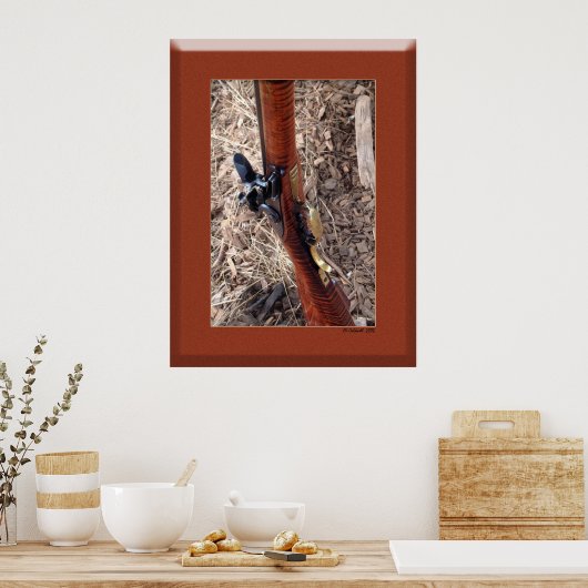 Sonderaktion für MuzzleLoaders Poster (Küche)