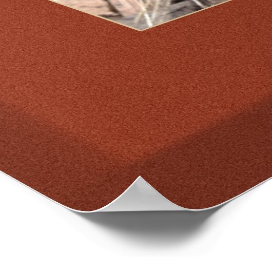 Sonderaktion für MuzzleLoaders Poster (Ecke)