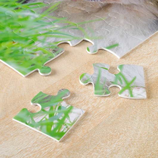 Sonderbare Augen-Border-Collie, die in grass.JPG Puzzle (Seite)