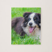 Sonderbare Augen-Border-Collie, die in grass.JPG Puzzle (Vertikal)