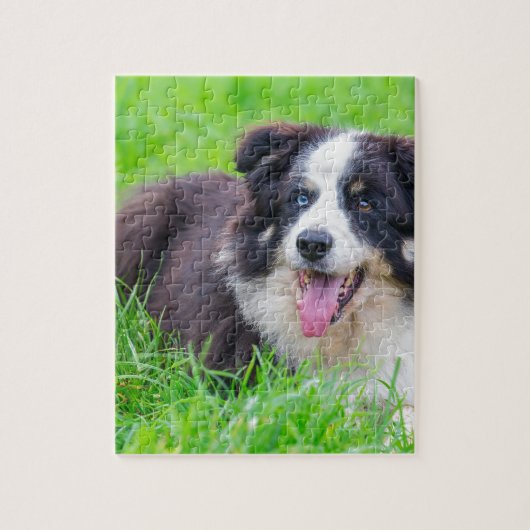 Sonderbare Augen-Border-Collie, die in grass.JPG Puzzle (Vertikal)