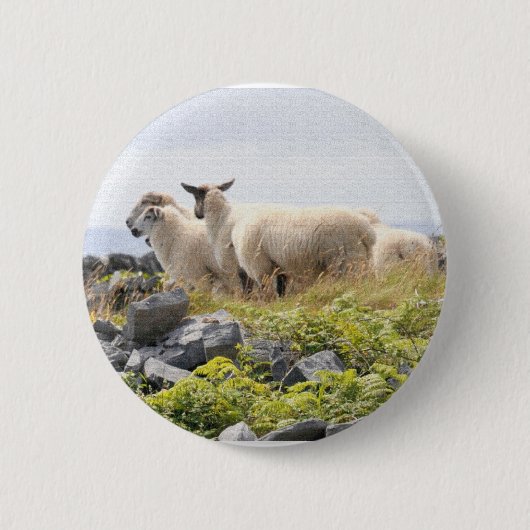 Sonderbare Designs - Schafe auf einem Feld Button (Vorderseite)