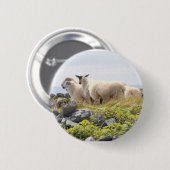 Sonderbare Designs - Schafe auf einem Feld Button (Vorne & Hinten)