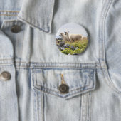 Sonderbare Designs - Schafe auf einem Feld Button (Beispiel)