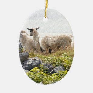 Sonderbare Designs - Schafe auf einem Feld Keramik Ornament