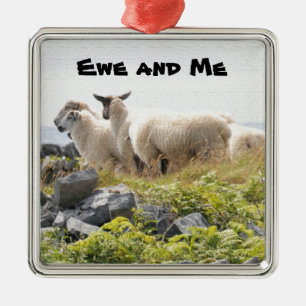 Sonderbare Designs - Schafe auf einem Feld Silbernes Ornament