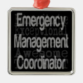 Sonderbeauftragter für Notfallmanagement Ornament Aus Metall (Vorne)