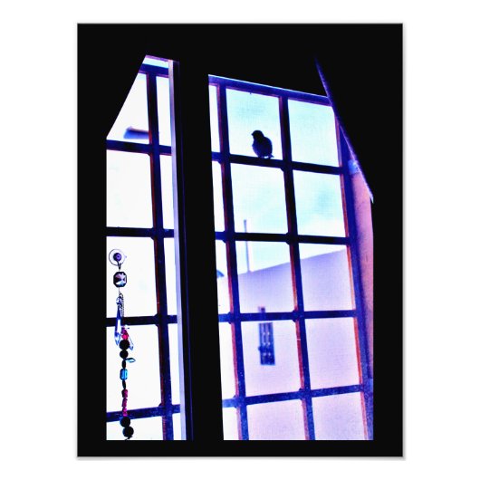 Sonderbesuch Fotodruck (Vorne)