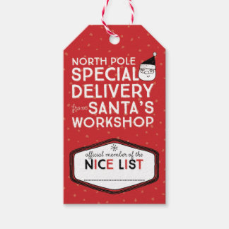 Sonderlieferung an den Nordpol aus dem Santa's Wor Geschenkanhänger