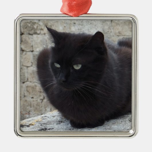 Sonderschmuck für die Black Cat Silbernes Ornament (Vorne)