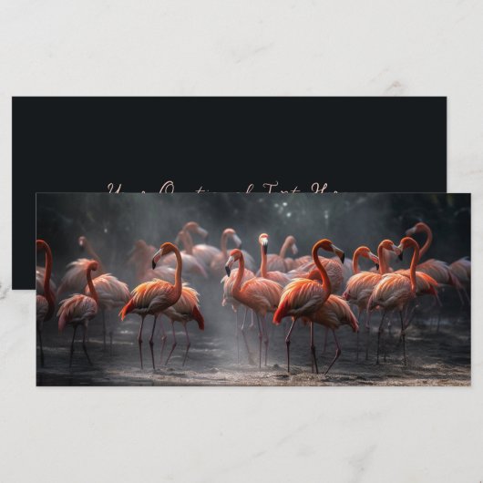 Sondertext Tropical Flamingos (Vorne/Hinten)