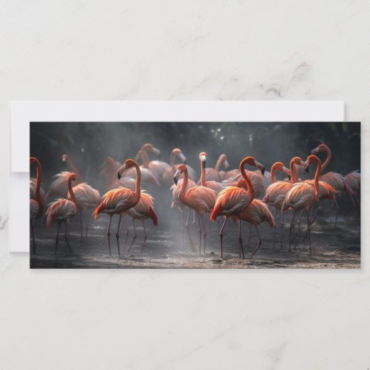 Sondertext Tropical Flamingos (Vorderseite)