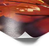 "Song Eichhörnchen" Fotodruck (Ecke)