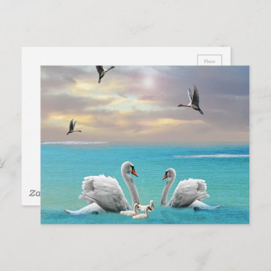 Song Of The White Swan Postkarte (Vorne/Hinten)