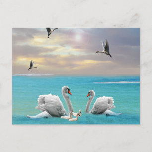 Song Of The White Swan Postkarte