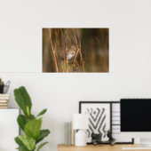 Song Sparrow auf der Wiese Poster (Heimbüro)