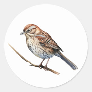 Song Sparrow Bird Stickers