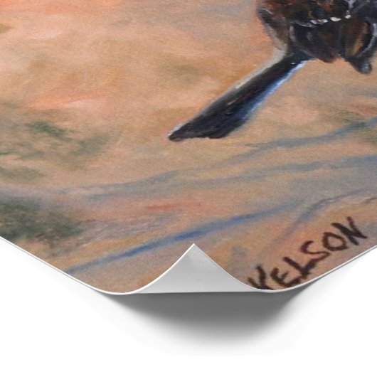 Song Sparrow Fine Art Print Poster (Ecke)