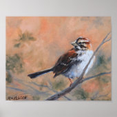 Song Sparrow Fine Art Print Poster (Vorne)