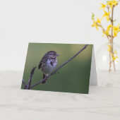 Song Sparrow Karte (Gelbe Blume)